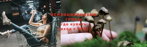 ГАЛЛЮЦИНОГЕННЫЕ ГРИБЫ Алексин