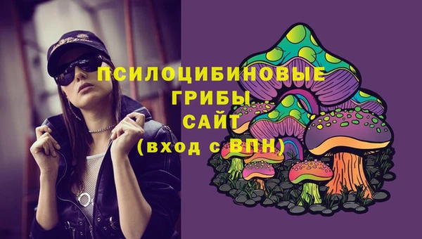 ГАЛЛЮЦИНОГЕННЫЕ ГРИБЫ Алексин